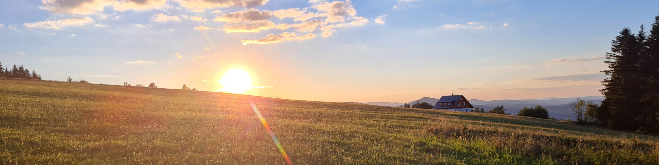 Druidská škola 2024